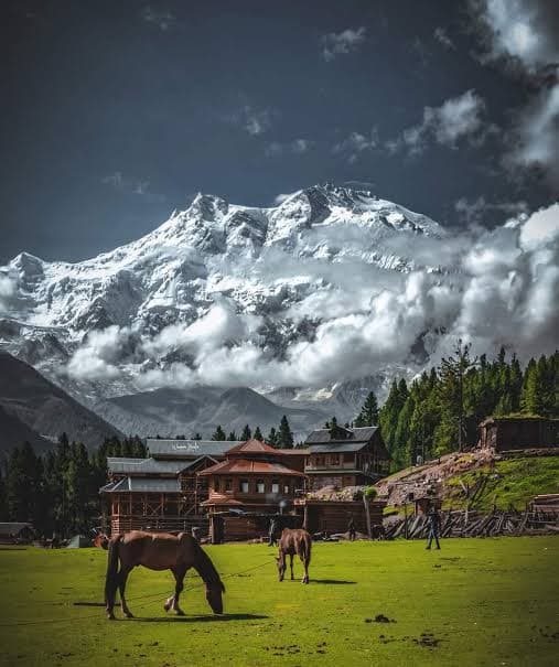 Fairy Meadows & Nanga Parbat Base