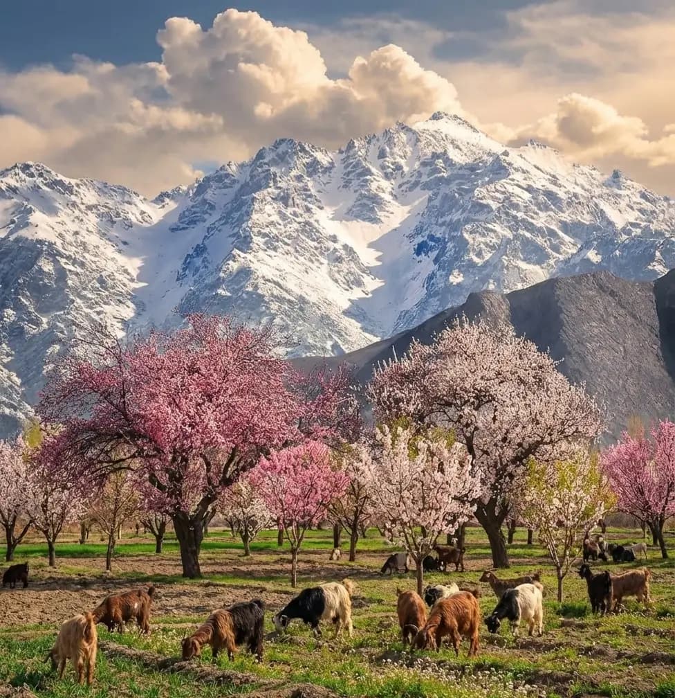 Hunza Valley Explorer
