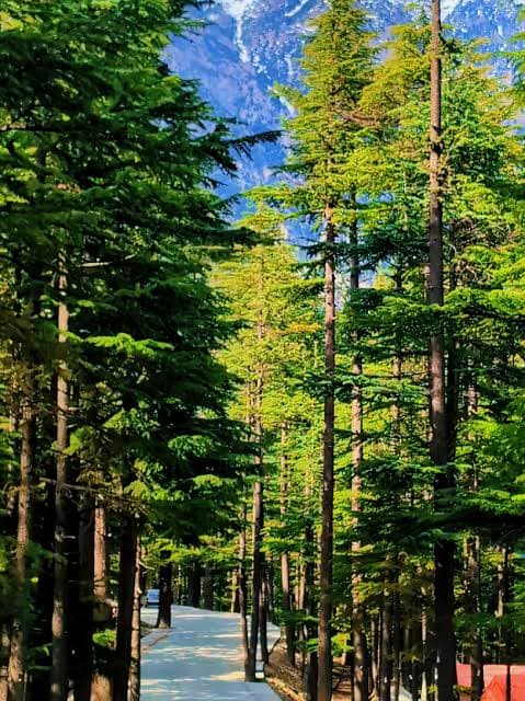Swat & Kalam Getaway